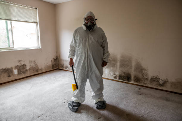 Best Mold Remediation for Healthcare Facilities  in Naples, FL